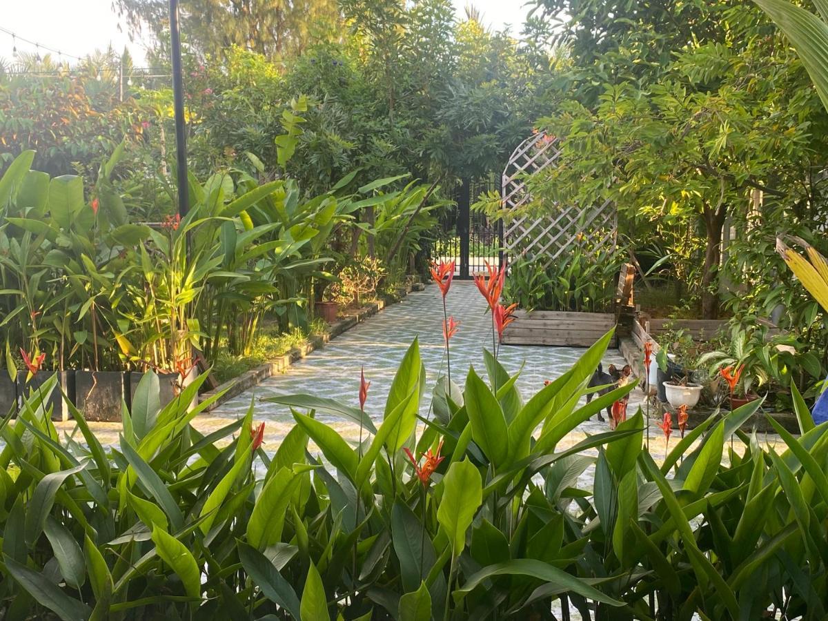 Laoxao Homestay Hội An Kültér fotó