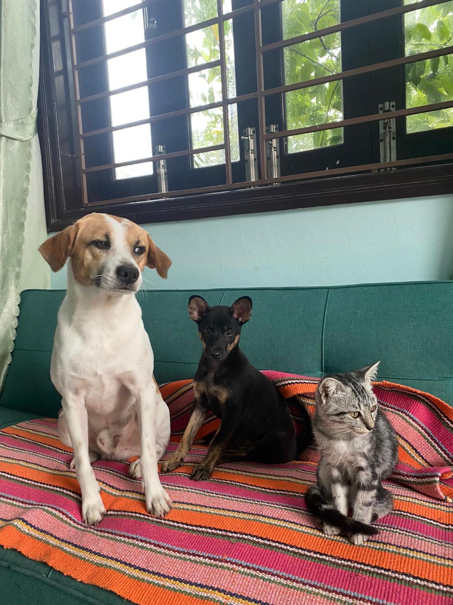 Laoxao Homestay Hội An Kültér fotó