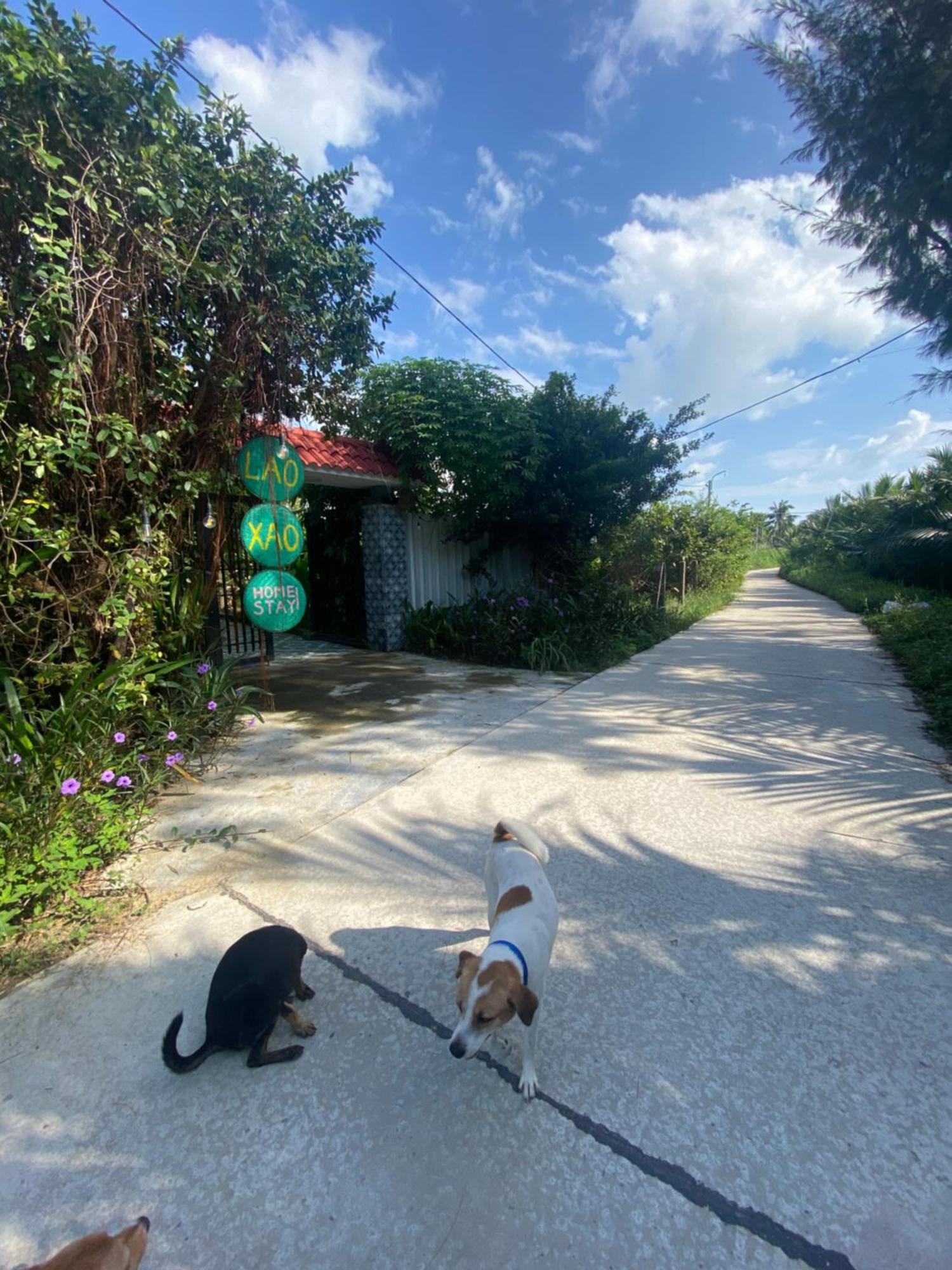 Laoxao Homestay Hội An Kültér fotó